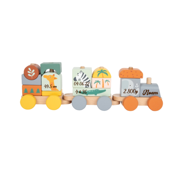 Train safari